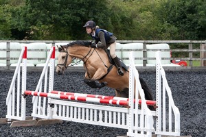 Class 6 - Fences not above 2'9